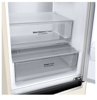 LG DoorCooling+ B509MAWL