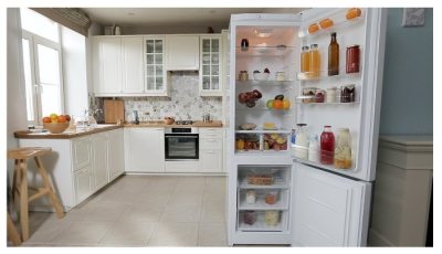 Indesit DS 320 W