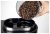 Кофеварки и кофемашины Caso Coffee Compact Electronic Caso Coffee Compact Electronic